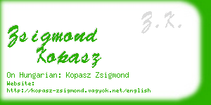 zsigmond kopasz business card